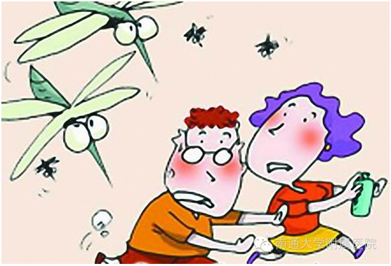 蚊蝇是否传播病毒？收快递会感染吗？疾控专家回应