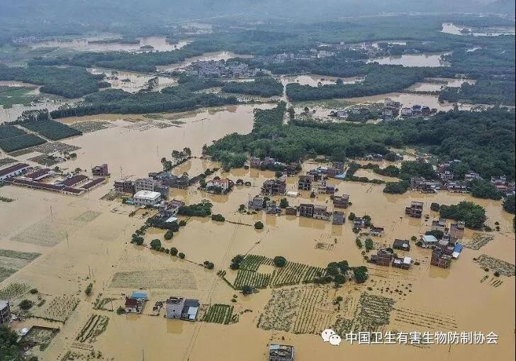 警惕夏季洪涝灾后高发传染病 科学做好消毒及病媒生物防制工作