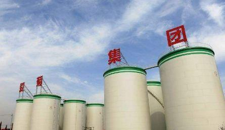 西安市爱菊集团灭鼠服务