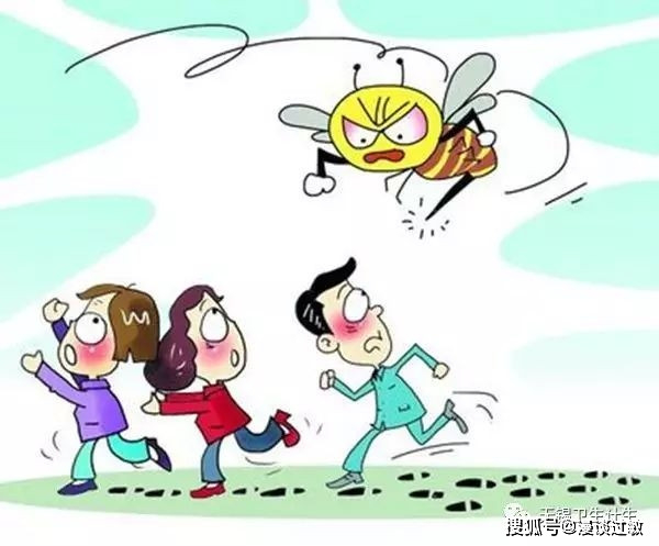 南郑区病媒生物防制