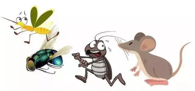 病媒生物不可怕，防治消灭有办法