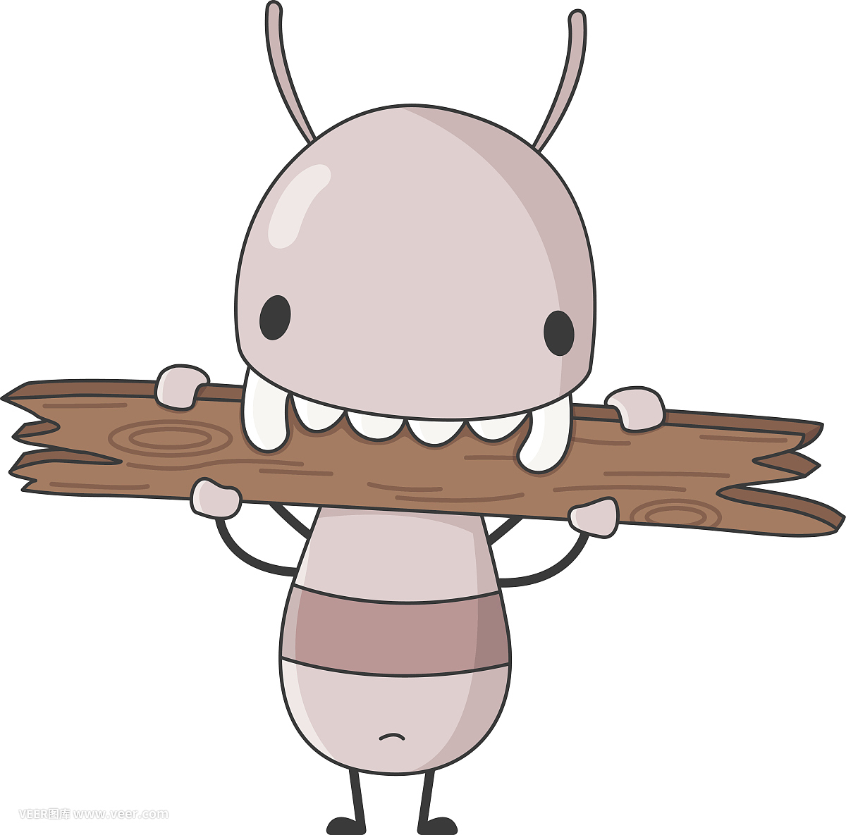 白蚁分飞季正是“繁殖扩散时” 科学防控要尽早