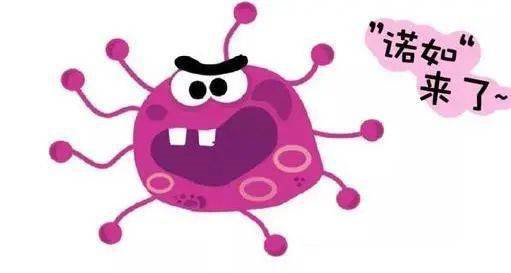 春季预防诺如病毒